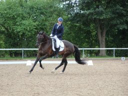 IMG_0207_web